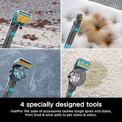 Shark® CarpetXpert™ HairPro® Pet with StainStriker™