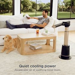 Shark® TurboBlade Ultra-Customizable Bladeless Tower Fan, Charcoal