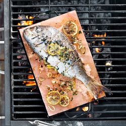 Williams Sonoma Himalayan Salt Plank with Holder