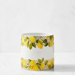 Limone Porcelain Utensil Holder