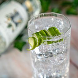 Terrane NO 12 Tumblers, Set of 2