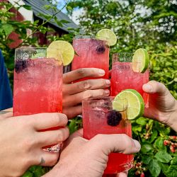 Terrane NO 12 Tumblers, Set of 2