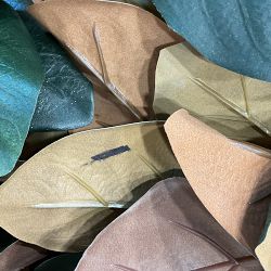 OPEN BOX: Magnolia Garland, 5'