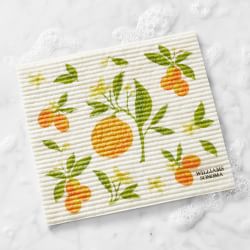 Citrus Sponge Dishclothes, Set of 3