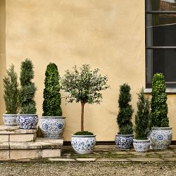 Blue &amp; White Ceramic Planter, Large