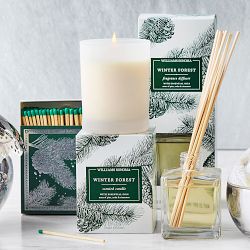 Williams Sonoma Winter Forest Candle