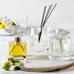 Williams Sonoma Crystal Block Diffuser