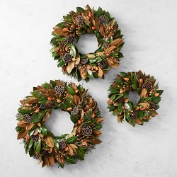 Magnolia Lantern Live Wreath &amp; Garland