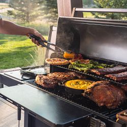 Traeger Woodridge™ Elite Pellet Grill