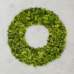Preserved Boxwood Wreath, 20"