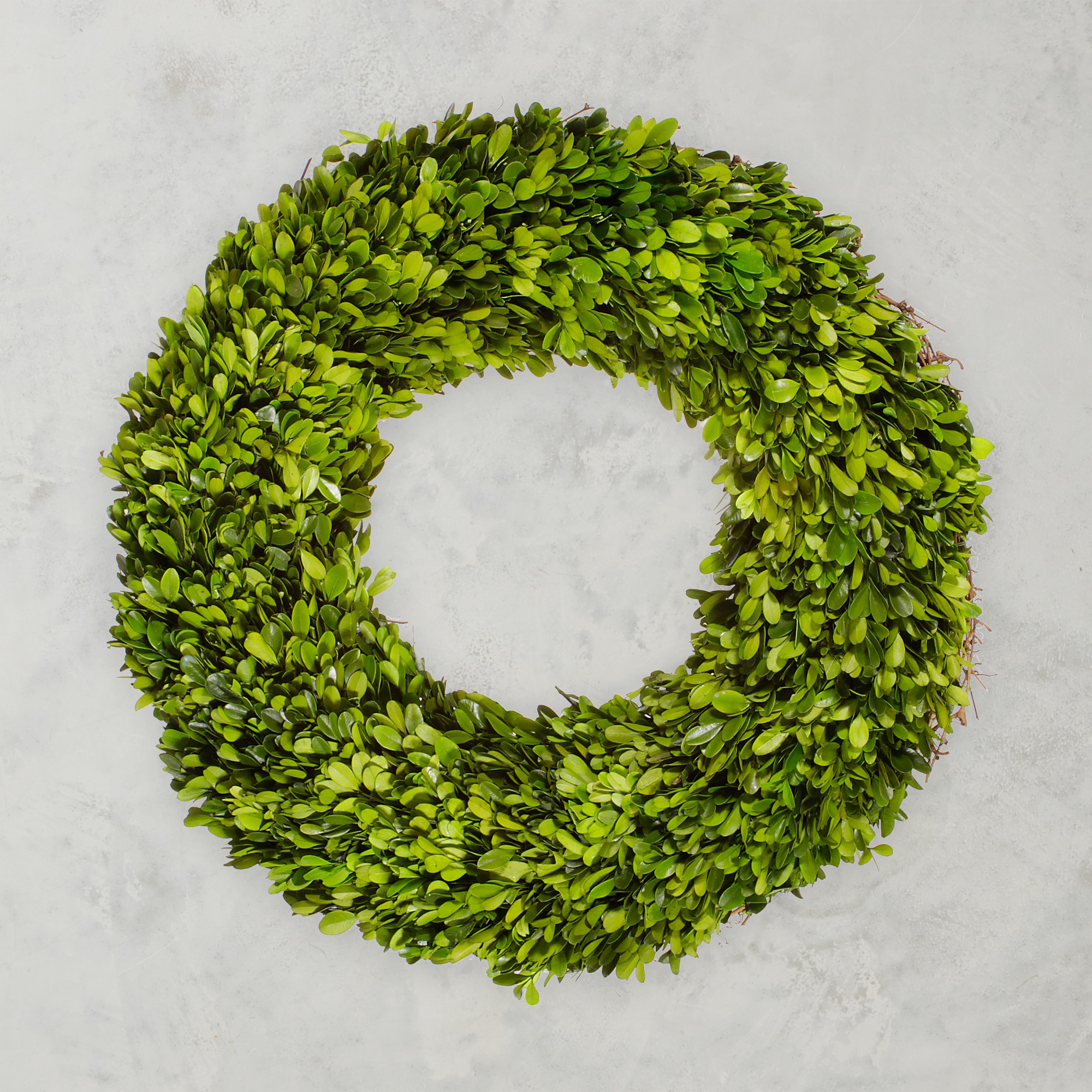 Boxwood Live Wreath, 20″ Simolary simolary.com 5