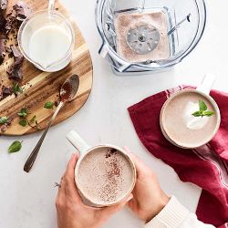 Vitamix Aer Disc Aerating Container