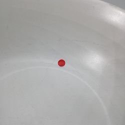 OPEN BOX: Hold Everything Lidded Ceramic Bowl, Ashwood, 12"