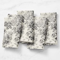 Botanical Toile Napkins, Set of 4, Black