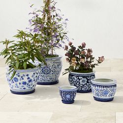 Blue &amp; White Ceramic Planter with Tray Collection