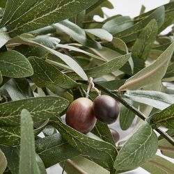 Faux Olive Branch