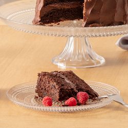 Fortessa Jupiter Dinner Plates