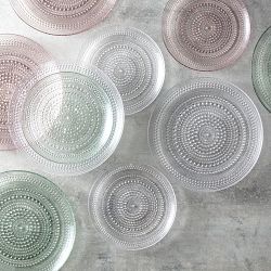 Fortessa Jupiter Salad Plates