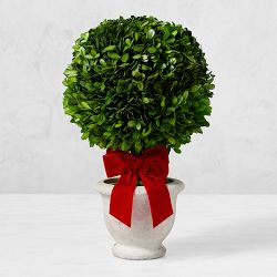 Red Bows with Wire Ties, Set of 6