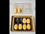 Video 2 for Flexipan® Nonstick Silicone Madeleine Mold