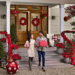 Balsam Hill Lit Poinsettia Celebration Pot Filler