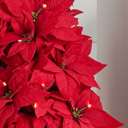 Balsam Hill Lit Poinsettia Celebration Pot Filler