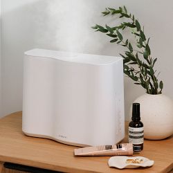 Vitruvi Cloud Humidifier