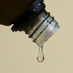 Vitruvi Lavender Essential Oil