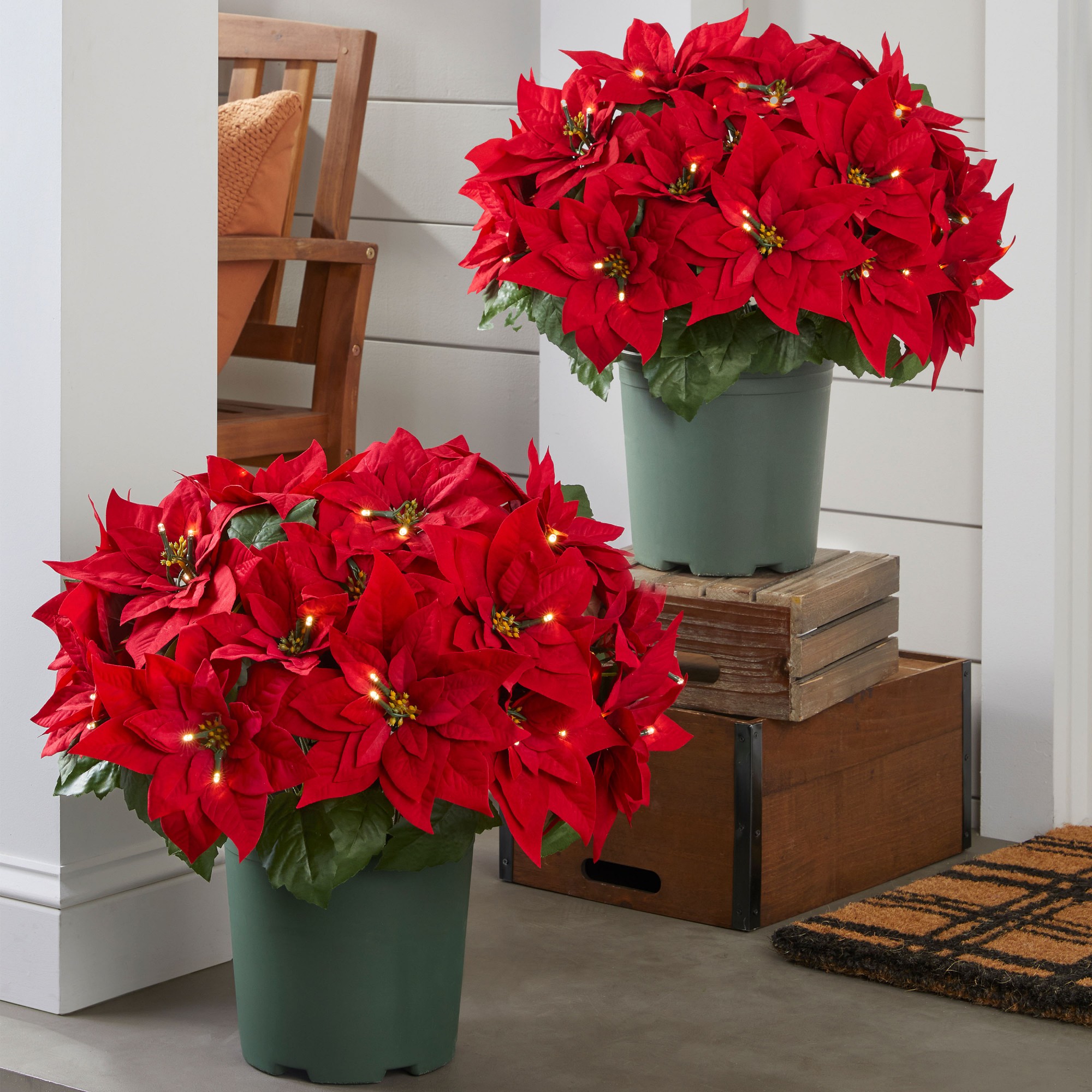 Balsam Hill Lit Poinsettia Celebration Pot Filler Simolary simolary.com
