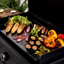 All-Clad Outdoor Countertop Gas Griddle