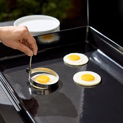 All-Clad Outdoor Gas Griddle