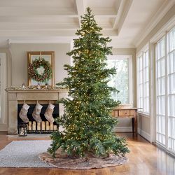 Balsam Hill Most Realistic Yukon Spruce Faux Tree