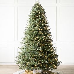 Balsam Hill BH Balsam Fir Flip 6.5' LEDC