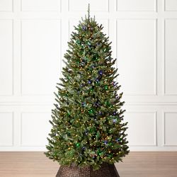 Balsam Hill Most Realistic Fraser Fir Narrow Faux Tree, 7.5' LED Color+Clear