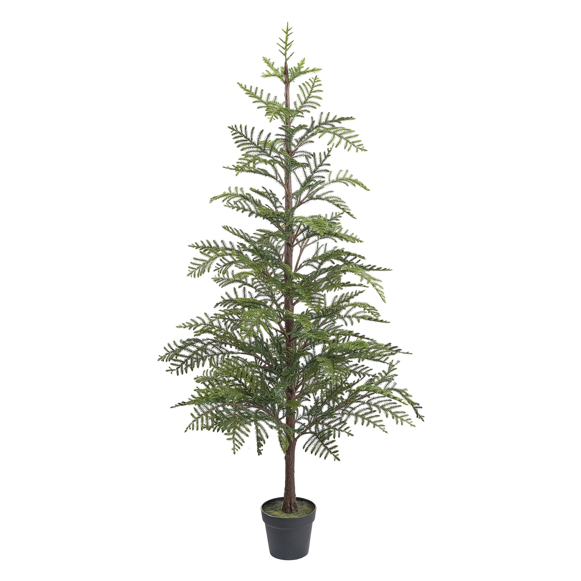 Faux Norfolk Pine Tree in Pot, 72″ Simolary simolary.com