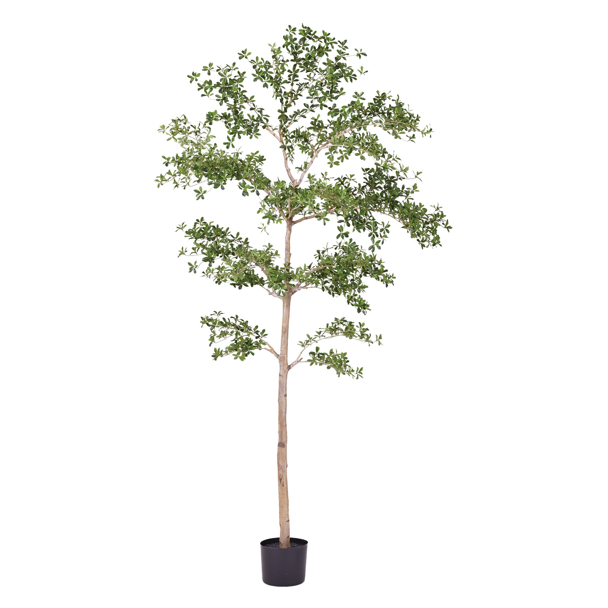 Faux Shady Lady Tree, 6′-9′ Simolary simolary.com