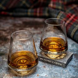 Terrane Modern Snifter Glasses, Set of 2