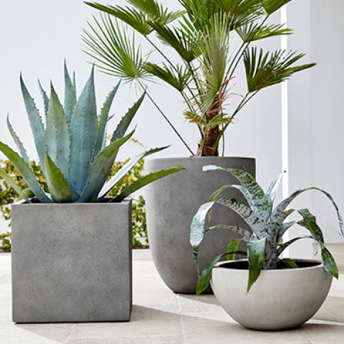 Outdoor Planters