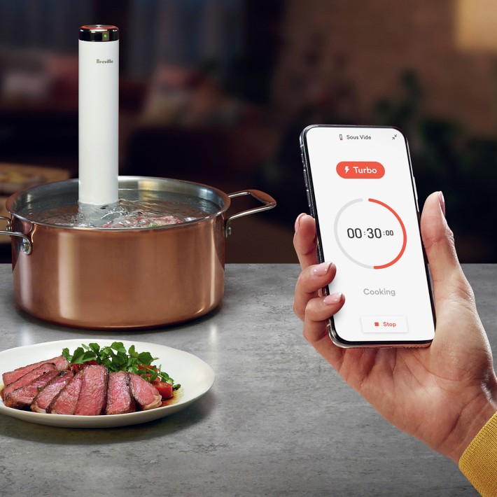 Breville Joule Turbo Sous Vide Cooker | Williams Sonoma
