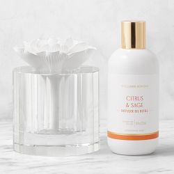 Home Fragrance Citrus & Sage Crystal Flower Diffuser and Refill Set