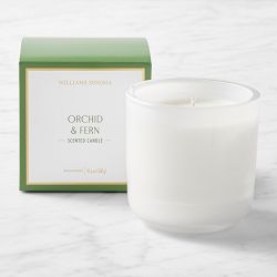 Home Fragrance Orchid & Fern Candle