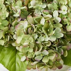 Faux Green &amp; Purple Hydrangea Arrangement in Glass Vase