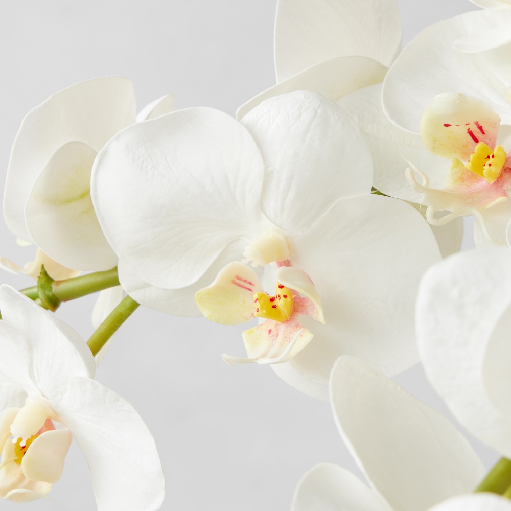 Faux Orchid Arrangement in Slim Vase by Williams Sonoma Home