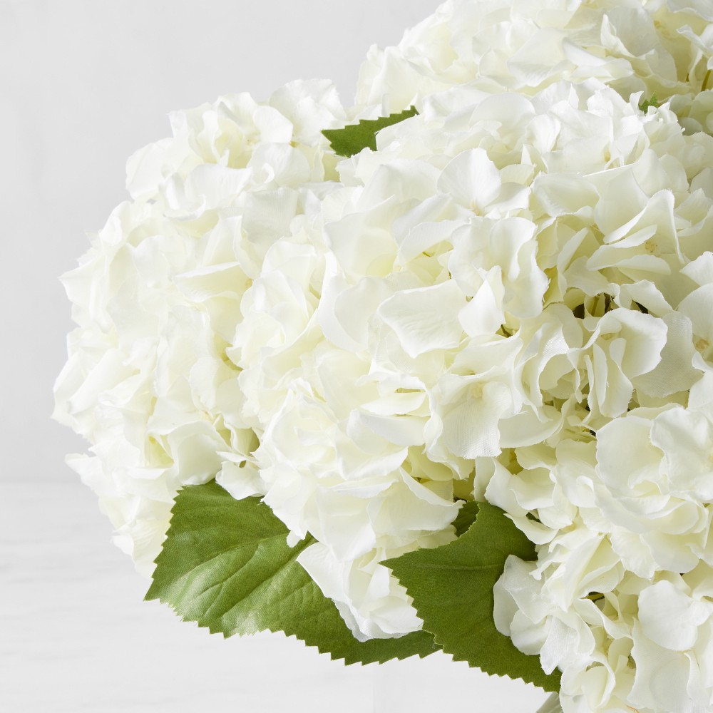 Faux White Hydrangea in Glass Vase by Williams Sonoma Home