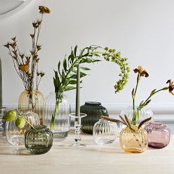 Primula Oval Glass Vase