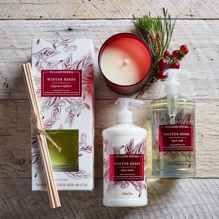 Williams Sonoma Winter Berry Reed Diffuser | Williams Sonoma