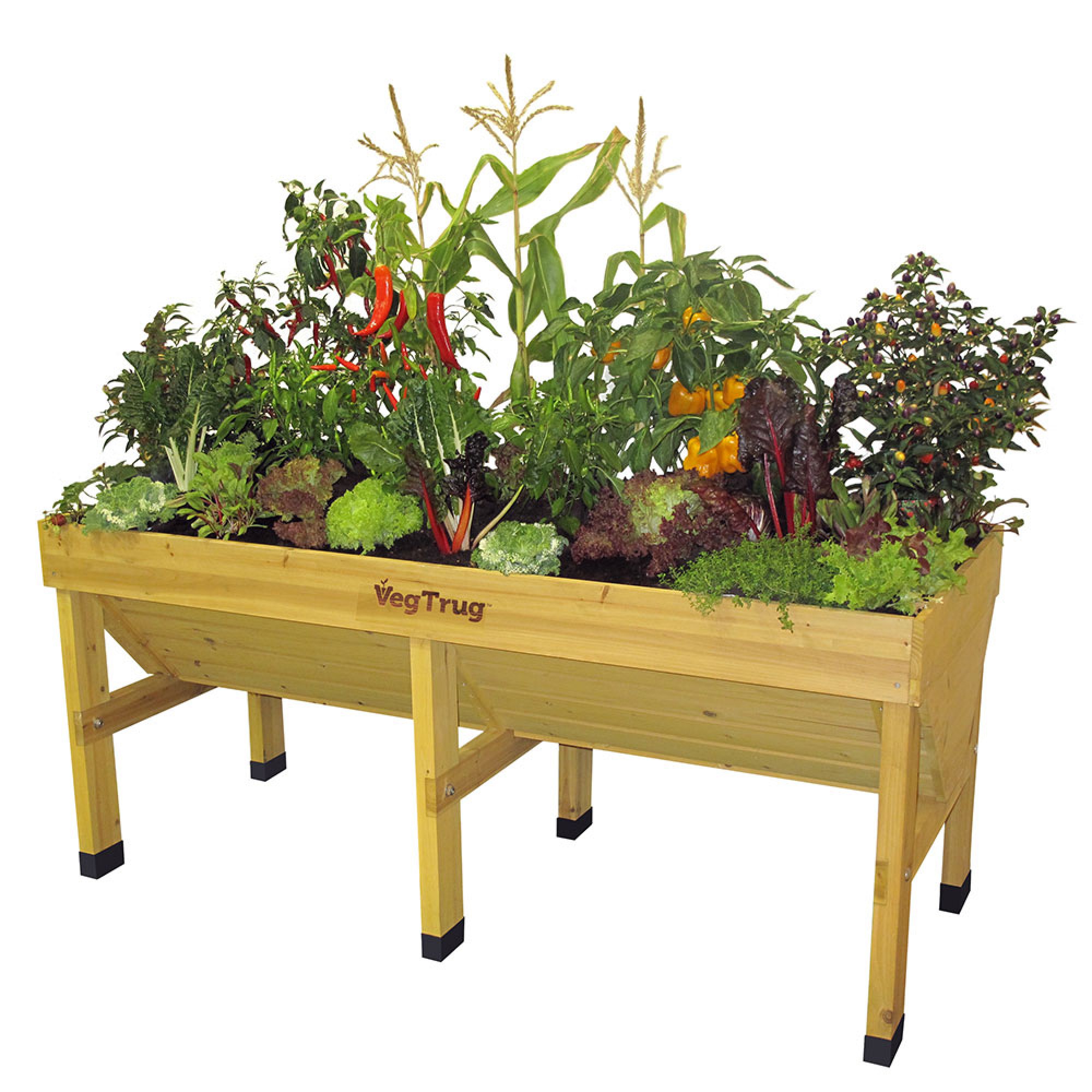 VegTrug Raised Bed Planter, Medium Sansujyuku sansujyuku.com