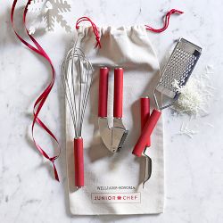 Williams Sonoma Junior Chef Gadget Set