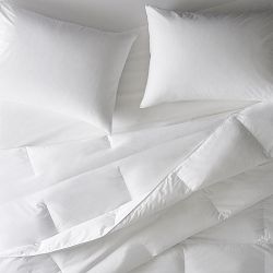 Down Alternative Duvet &amp; Pillow Insert