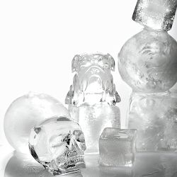 Williams Sonoma Skull Ice Mold, Set of 2